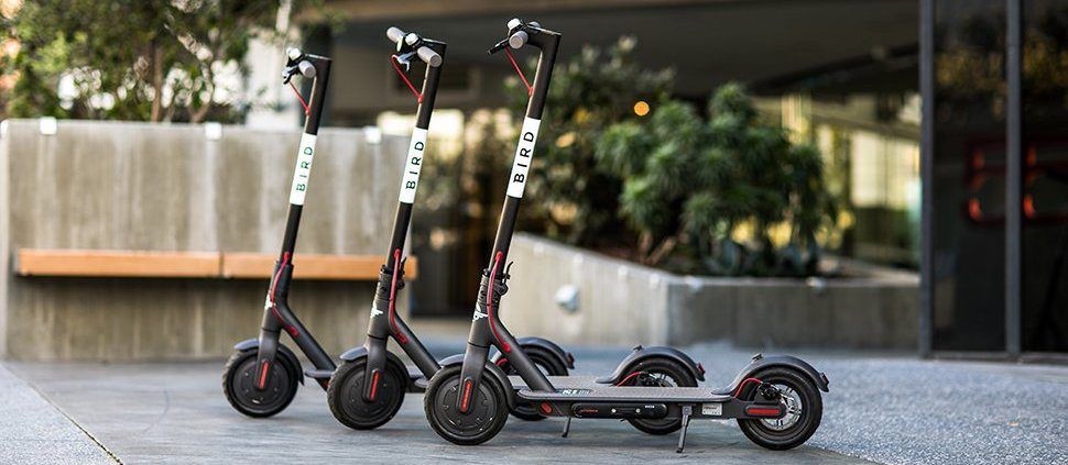 Electric Scooters coming soon!